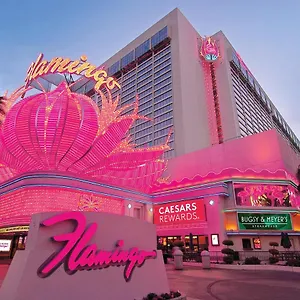 Flamingo Vegas & Casino Feriested Las Vegas